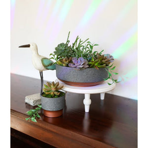 The HC Companies 8 In Capri Bowl Indoor Succulent Planter, Faux Concrete Copper - TRAPSKI