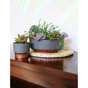 The HC Companies 8 In Capri Bowl Indoor Succulent Planter, Faux Concrete Copper - TRAPSKI