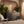 Elegant 59 Inch Sideboard