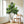 7FT Tall Artificial Banyan Tree Silk Plant – Large Faux Greenery