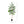 6Ft Artificial Ficus Tree With Natural Trunk In Pot For Indoor Home Office Decor - Green Leaves