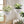 Self Watering Hanging Planter