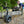 Timber Tuff Steel Log Carrier Dolly, 1000 Pound Capacity with ATV Compatibility - TRAPSKI