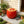 Pomegranate Fruit Stool – 13.4