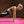 BalanceFrom Fitness GoGym 2 Inch Thick Tri Fold Folding Gymnastics Mat, Pink