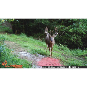 Wildgame Innovations Premium Sugarbeet Crushed Deer Attractant, 15 Pound Bag