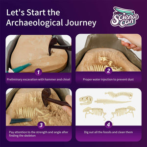 Science Can 160003G-1 Mesozoic Era Super Dinosaur Fossil Dig Kit for Ages 6 & Up