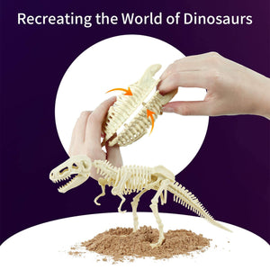 Science Can 160003G-1 Mesozoic Era Super Dinosaur Fossil Dig Kit for Ages 6 & Up