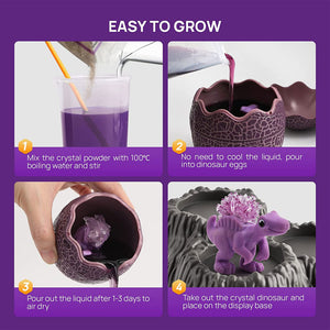 Science Can Geoscience 3 Color Crystal Dinosaur Deluxe Growing Kit Experiment