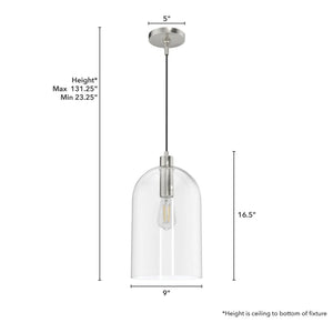 Hunter Fan Company Lochemeade 1 Bulb Glass Dome Adjustable Hanging Pendant Light