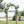Metal Garden Arch with Adjustable Width for Climbing Plants