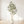 8.2FT Artificial Olive Tree With Big Decorative