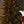 National Tree Company Montgomery 7 Foot Prelit Half Christmas Tree Clear Lights - TRAPSKI
