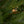 National Tree Company Montgomery 6.5' Prelit Half Christmas Tree 300 Clear Light
