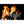 Campirano Premium Hardwood Black Lump Charcoal for Grill & Smoker, 40 lb Bag