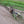 Brush Grubber BG-20 XTREME Plus Brush & Tree Stump Puller and Remover, Black