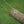 Timber Tuff TMW-48 15 Foot ATV UTV Log Choker Cable with Tow Rings & Probe Stake - TRAPSKI