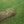 Timber Tuff TMW-48 15 Foot ATV UTV Log Choker Cable with Tow Rings & Probe Stake - TRAPSKI