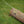 Timber Tuff TMW-48 15 Foot ATV UTV Log Choker Cable with Tow Rings & Probe Stake - TRAPSKI