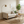 FX-P81B-CW Velvet Sofa