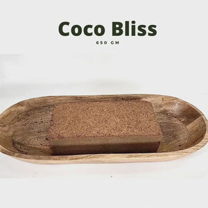 Plantonix Coco Bliss Premium Organic Coconut Coir Pith, 650GM Bricks (50 Pack)