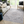 Marfi Collection 7.9X10 Rug