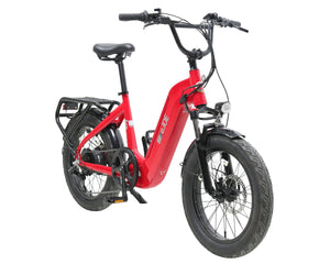 ACE | Utility Cruiser eBike