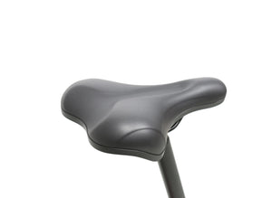 EPIK SWAN 2.0 | Electric Folding Step Through E-Bike