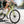 Doberman Ebike