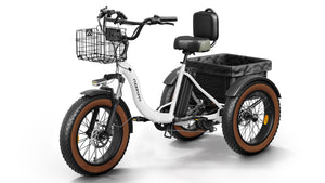 Alaskan Etrike