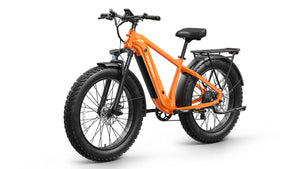 Beagle 2 Ebike
