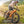 Boxer Ebike