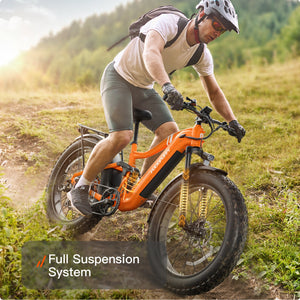 Boxer Ebike