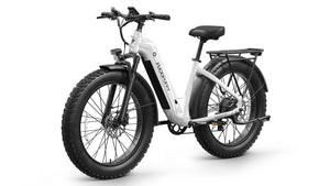 Beagle 2 ST Ebike