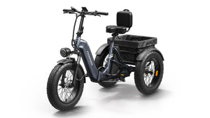 Husky Plus Etrike
