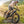 Boxer Ebike