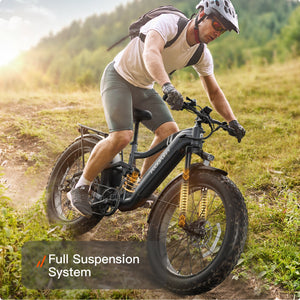 Boxer Ebike