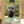 HuntEmUp Ultimate Dove Hunter Training & Field Bundle