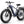 Beagle 2 Ebike