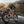 Beagle 2 Ebike
