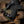 M-Tac Double Duty Tactical Belt Hex (Reversible) - TRAPSKI