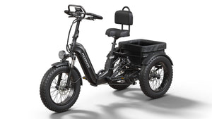 Rottweiler Etrike