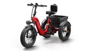 Husky Plus Etrike