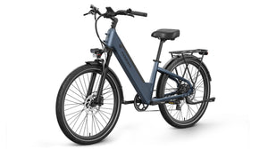Poodle Ebike