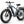 Beagle 2 Ebike
