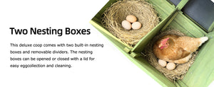70" Automatic Chicken Coop with Solar-Powered Door