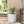 MGO PLANTER