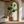 7FT Artificial Fiddle Leaf Fig Tree, Realistic Faux Potted Plant