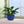 3 Pieces Ceramic Flowerpot