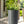 Planter For Outdoor